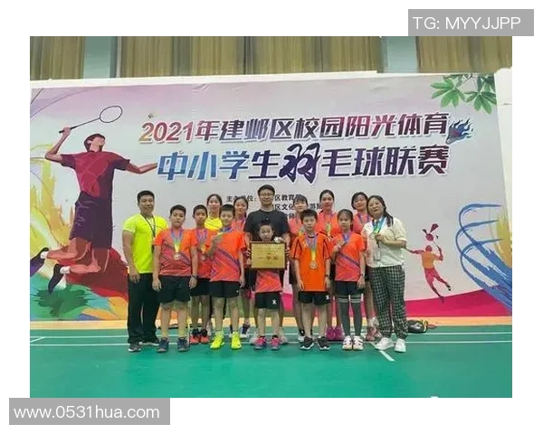 南京羽毛球队在城市联赛中的比赛经验与表现分析